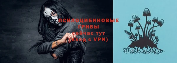Альфа ПВП Арсеньев